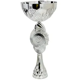puchar-metalowy-srebrny-285cm
