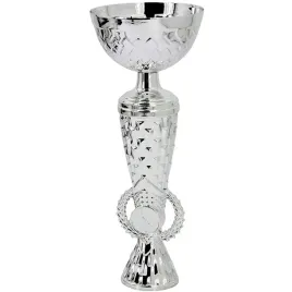puchar-metalowy-srebrny-285-cm