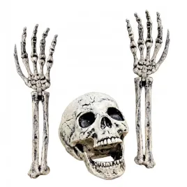 szkielet-halloween-czaszka-2-rece-kruk-do-ogrodu-cmentarz-dekoracja