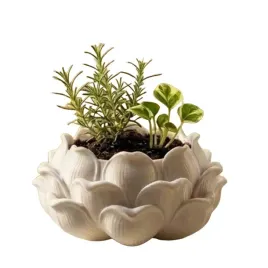 shein-biala-doniczka-na-kwiaty-s07-8x36cm