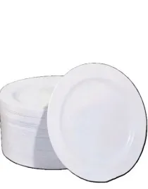 shein-bialy-talerz-jednorazowy-10-pack-t88-s07-19