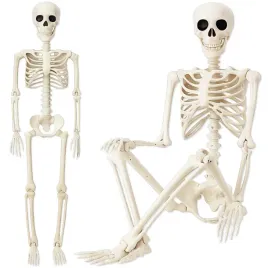 szkielet-wiszacy-model-kosciotrup-dekoracja-skeleton-na-halloween-90-cm