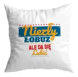 poduszka-dzien-chlopaka-niezly-lobuz-super-chlopak-szkola-prezent-dla-niego