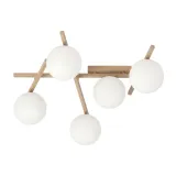 smart-5-mokka-opal