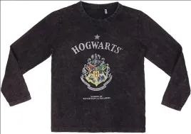 h6600-cerda-bluzka-chlopieca-dlugi-rekaw-z-motywem-harry-potter-116cm
