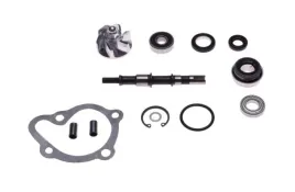 zestaw-naprawczy-pompy-wody-kymco-dink-250-s7