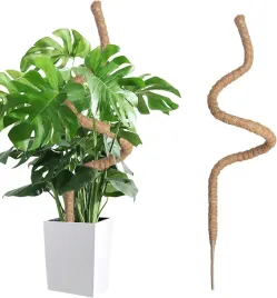 slupek-kokosowy-dla-roslin-pnacych-i-monstery-skladany-160-cm