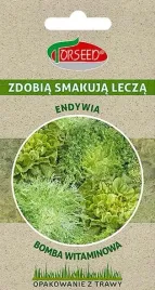 mieszanka-nasion-cykorii-endywii-2-g-warzywa-lisciaste-do-salatek