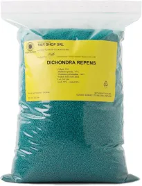 nasiona-dichondra-repens-200-g-20-m-odporna-roslina-okrywowa-na-trawnik
