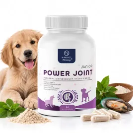 hippovet-pharmacy-power-joint-junior-50-kapsulek-wsparcie-stawow-mlodego-psa