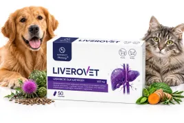 hippovet-pharmacy-liverovet-50-kapsulek-wsparcie-watroby