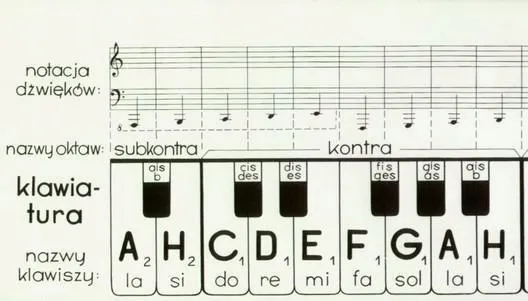 Klawiatura papierowa rozkładana 8 oktaw Polskie Wydawnictwo Muzyczne