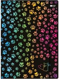 teczka-a4-z-gumka-miaow-happy-color-do-szkoly-biura