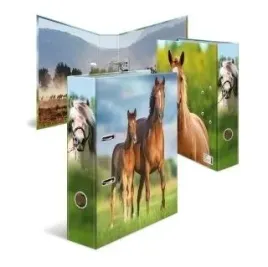 segregator-kon-7cm-do-szkoly-biura