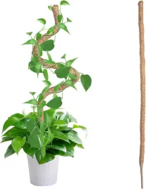 podporka-kokosowa-do-roslin-pnacych-120-cm-elastyczna-z-akcesoriami