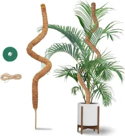 pret-do-mchu-120-cm-dla-monstery-gietka-podpora-kokosowa-pnaczy