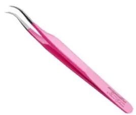 peseta-power-pink-curve-by-magnitica