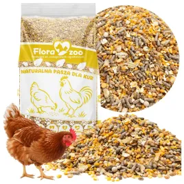 pasza-dla-kur-niosek-10kg-naturalna-karma-mieszanka-ziarno-gniecione
