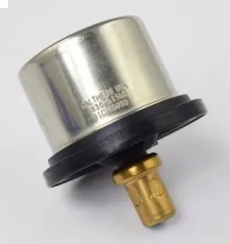 termostat-daf-xf106-euro-6-81c-oe-daf-1953171
