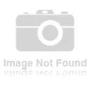 filtr-paliwa-scania-r-164-bosch-f026402107