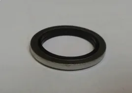 pierscien-uszcz-3-4-bs027