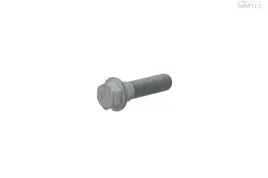 sruba-bpw-m16x61-109-sw22-sem-lastik-sem16705