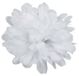 chryzantema-glowka-kwiat-white-do-stroikow-11-cm