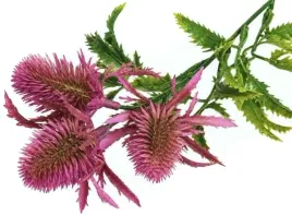 mikolajek-galazka-dekoracyjna-kwiat-37-cm-do-bukietow-wiankow-fuchsia