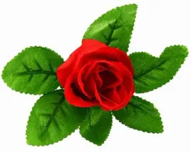 roza-w-paku-glowka-kwiat-do-wiencow-stroikow-4-cm-red
