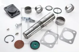 kpl-napr-zwrotnicy-iveco-eurotech-kpl-na-1-strone-pe-automotive-021-009-00a