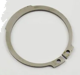 pierscien-segera-skrz-bieg-zf-365mm-80x365-zf-parts-0730303189