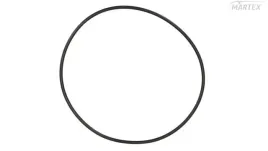 oring-pokr-piasty-bpw-eco-plus-126x3-sampa-115-833
