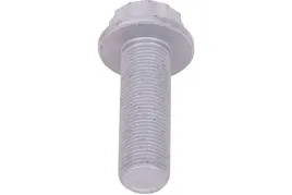 sruba-podstawy-poduszki-bpw-m16x65-sem-lastik-sem16225