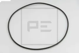 oring-piasty-mb-actros-255x265x5-pe-automotive-029-025-00a