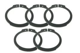pierscien-segera-skrz-bieg-zf-42x20-euroricambi-95531756