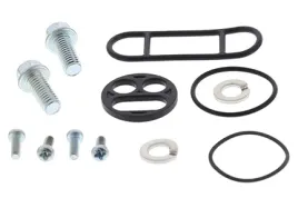 zestaw-naprawczy-kranika-all-balls-yamaha-ttr225-99-04-xt225-99-04-trwaly