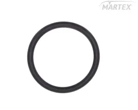 oring-chlodnicy-retardera-scania-r-lema-le126260