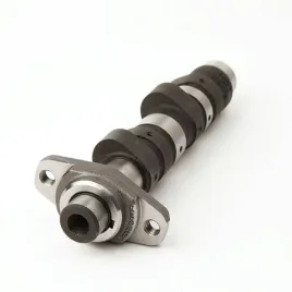 hot-cams-walek-rozrzadu-honda-trx-400-ex-99-08