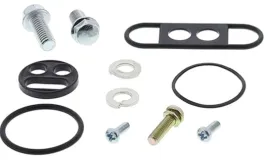 zestaw-naprawczy-kranika-oryginalnego-all-balls-yamaha-xt-250-08-12