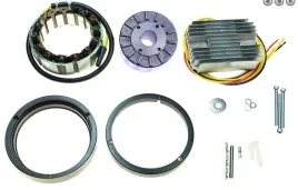 electrex-cewki-alternatora-i-regulator-napiecia-bmw-wszystkie-silniki-boxer