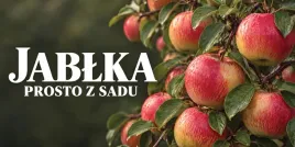baner-reklamowy-jablka-j3-laminowany-200x100-cm