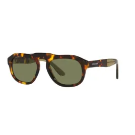 okulary-giorgio-armani-ar8173-50922a-okulary-przeciwsloneczne-kolor-brazo