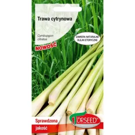 trawa-cytrynowa-cymbopogon-citratus-01g-torsee