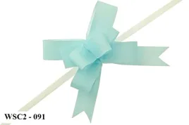 wstazka-sciagana-szer-2cm-25szt-blekitna-wsc2-091