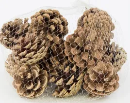 szyszki-szyszka-sosnowa-naturalna-3x4cm-18szt-sz01-xy17-01