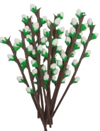 bazia-drobna-galazki-z-listkami-wys-15cm-12sztuk-wlk33