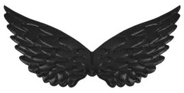 skrzydelka-aniola-czarne-skrzydla-diabla-44x22cm