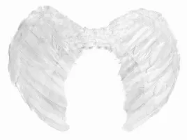skrzydla-skrzydelka-aniolka-aniola-jaselka