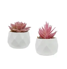 shein-sztuczna-roslina-2-pack-4z4-s07