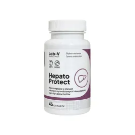 lab-v-hepato-protect-45-kaps
